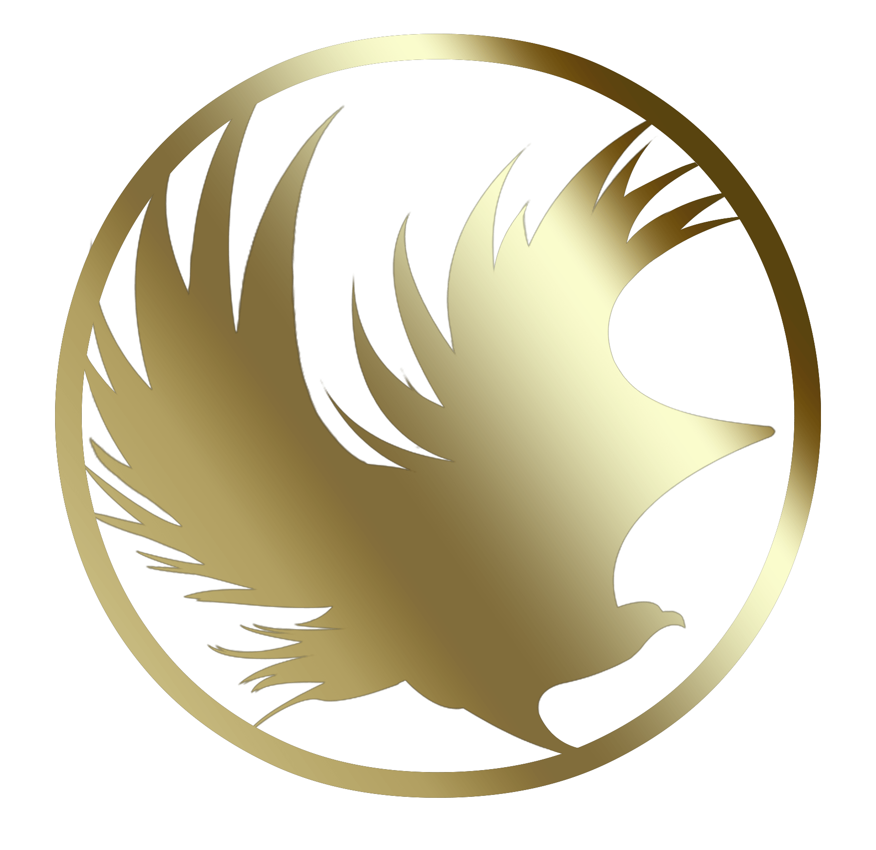 light logo